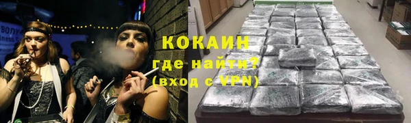 стафф Алзамай