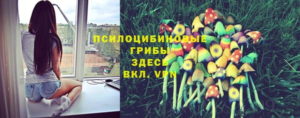 стафф Алзамай