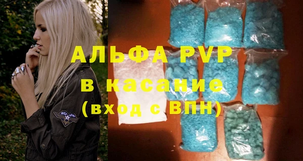 стафф Алзамай
