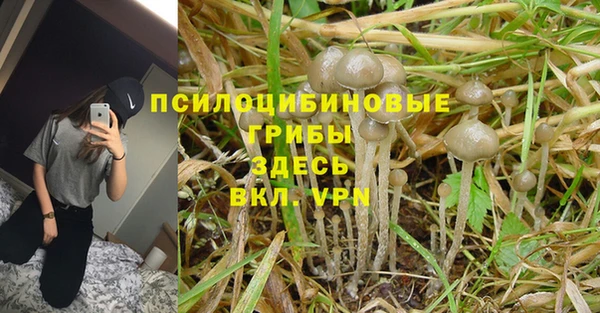 дживик Алексеевка